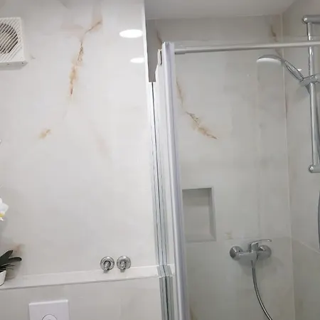 Apartment Miskovic *