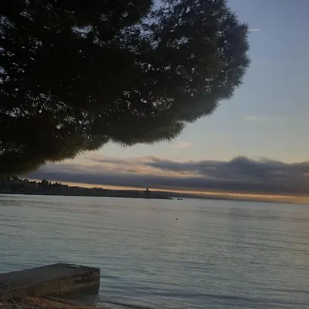 Miskovic Apartamento