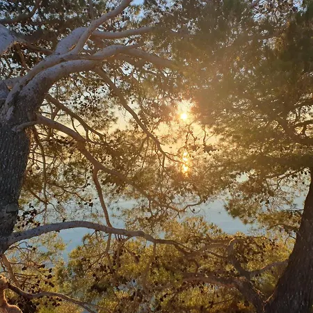 Apartamento Miskovic *