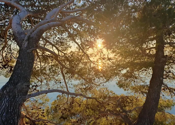 Apartmán Miskovic *